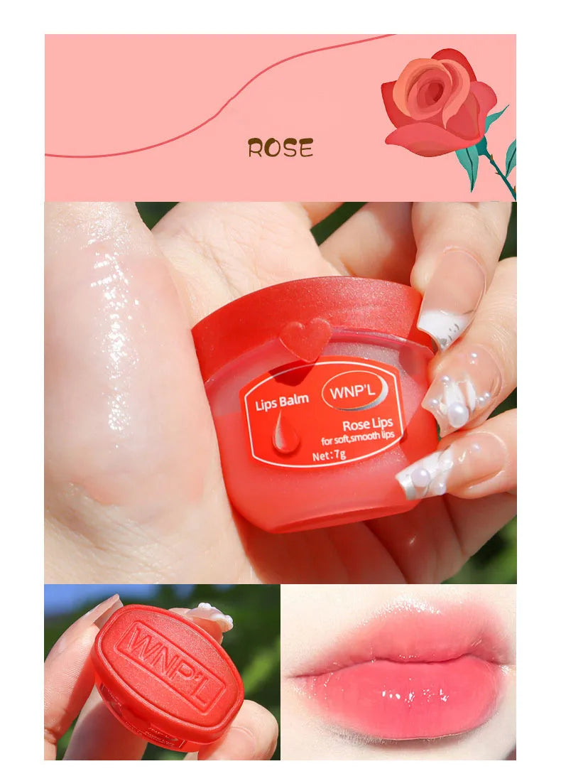 Hidratante Labial Nutritivo Original | Avocado | Honey Peach | Rose | Sakura | 4/6/8peças